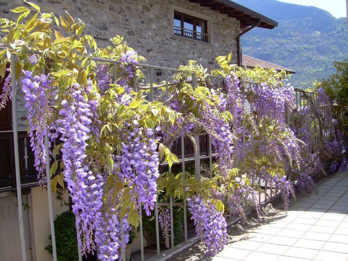 Residenza Antica Corte Villa Picta Buglio in Monte Εξωτερικό φωτογραφία
